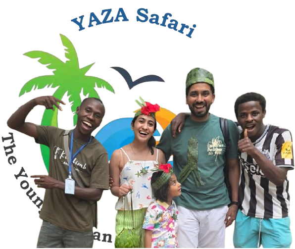Our Team